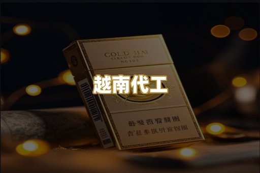 越南代工
